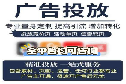 某品牌通过百度广告实现快速增长的案例